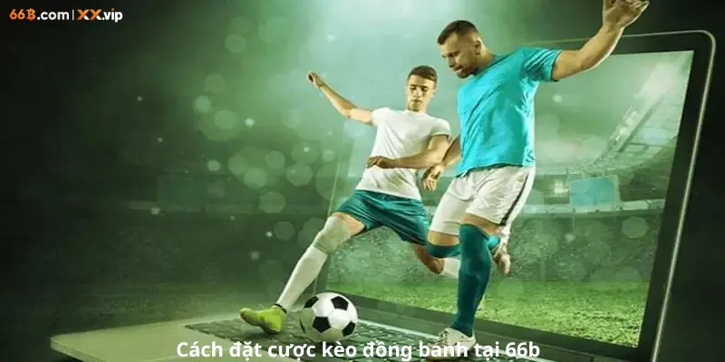 cách đặt cược kèo chấp đồng banh tại 66b